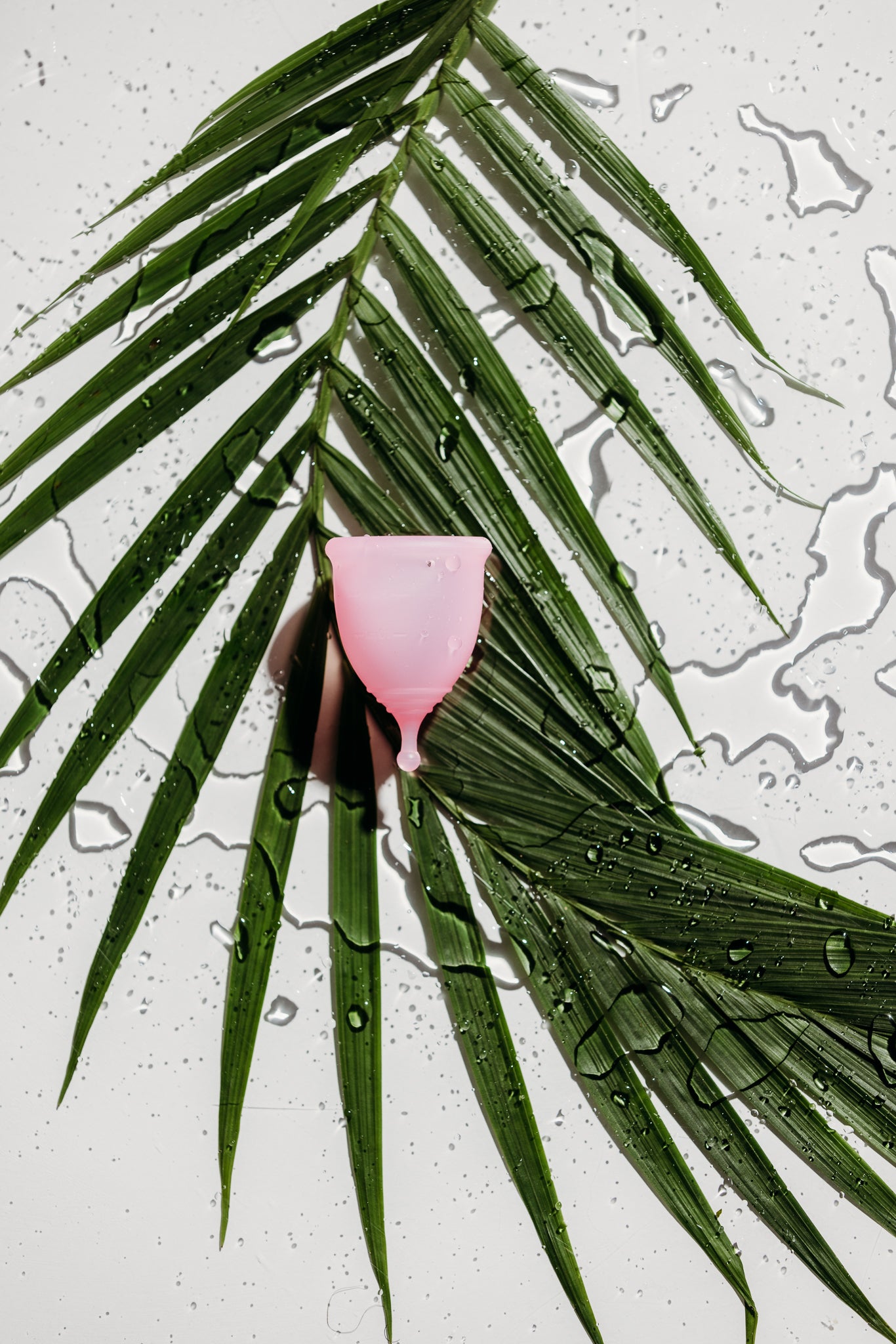 Feminine Cup Small