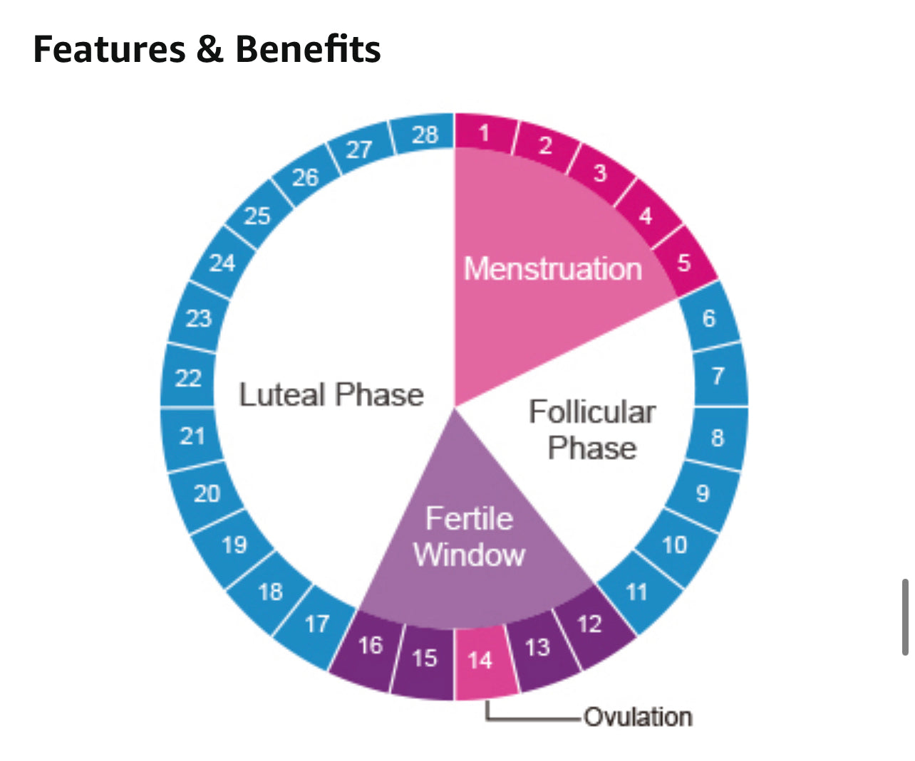 Ovulation Kit